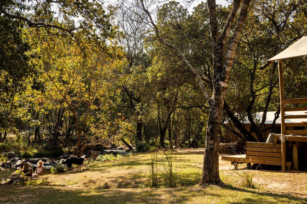 Africamps At Mackers Villa เฮซีวิว ภายนอก รูปภาพ